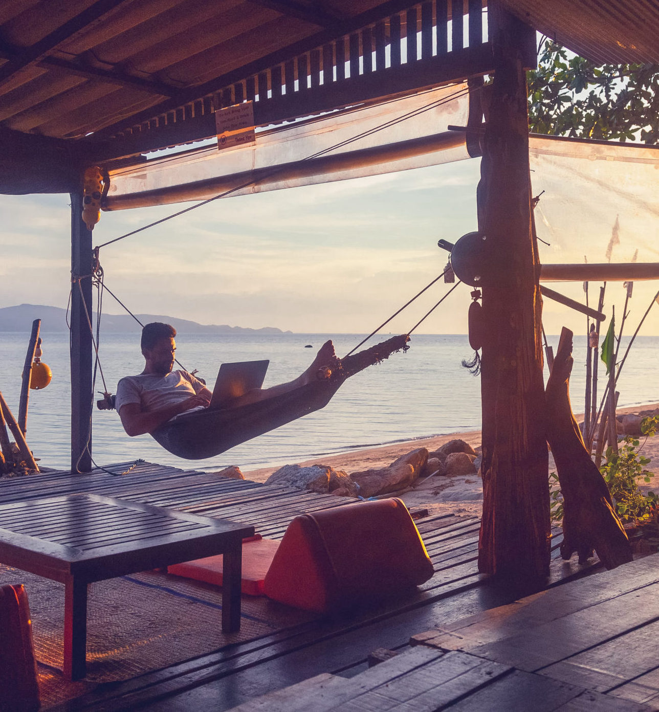 Young attractive guy a man with a beard in a hammock with a laptop